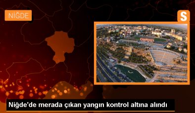 Niğde’nin Altunhisar ilçesinde çıkan yangında 500 hektar mera alanı zarar gördü