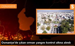 Osmaniye’de çıkan orman yangını kontrol altına alındı