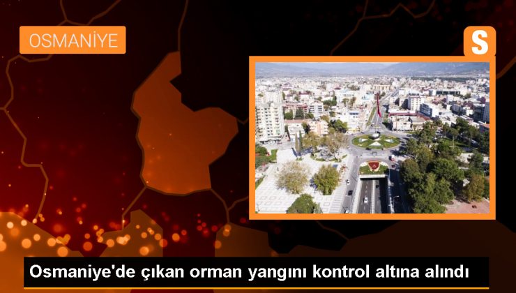 Osmaniye’de çıkan orman yangını kontrol altına alındı