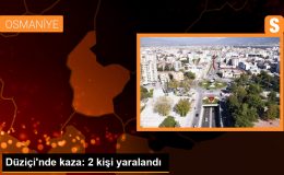 Osmaniye’de kaza: Ticari araç sulama kanalına düştü, 2 yaralı