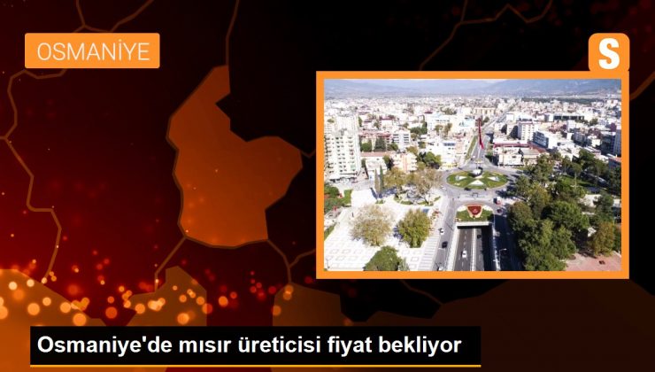 Osmaniye'de mısır üreticisi fiyat bekliyor 1 Osmaniye’de mısır üreticisi fiyat bekliyor