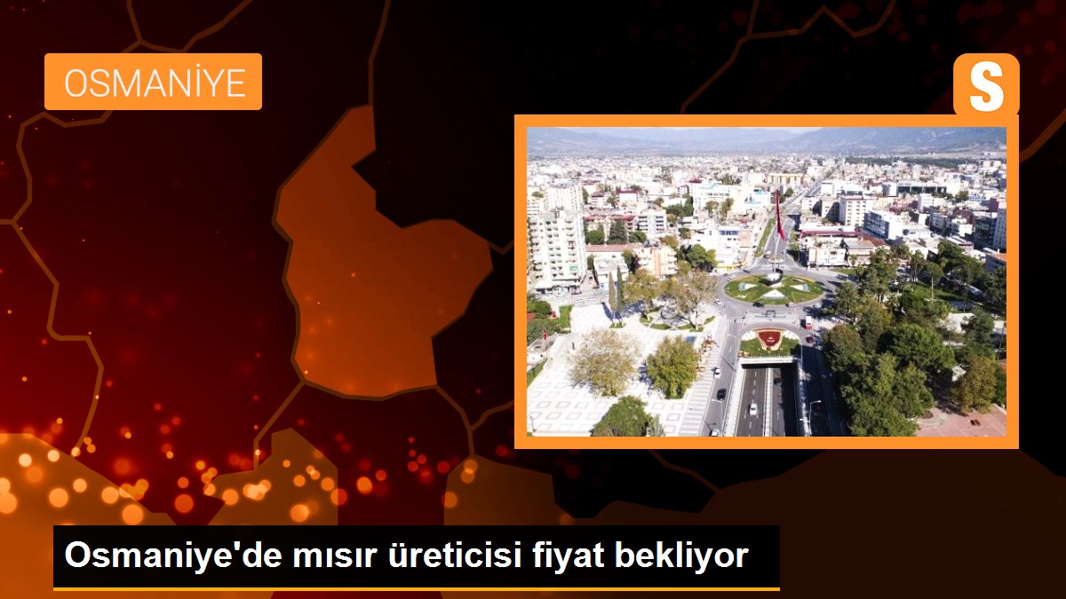 Osmaniye'de mısır üreticisi fiyat bekliyor