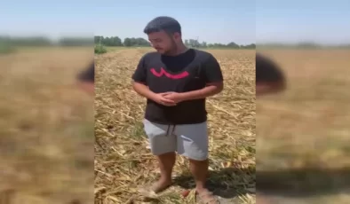 Osmaniyeli çiftçiler mısır alım fiyatına tepki gösterdi