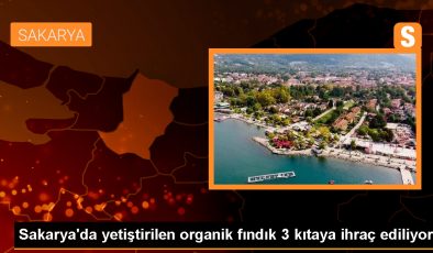 Sakarya’da Sürdürülebilir Tarım Fabrikası Fındık İhracatını Artırıyor