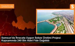 Samsun’da İhracata Uygun Sebze Üretimi Projesi Devam Ediyor