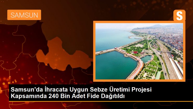 Samsun’da İhracata Uygun Sebze Üretimi Projesi Devam Ediyor