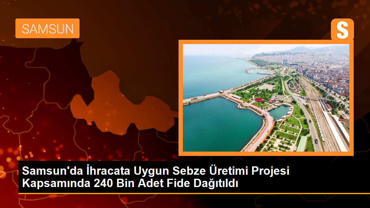 Samsun'da İhracata Uygun Sebze Üretimi Projesi Devam Ediyor
