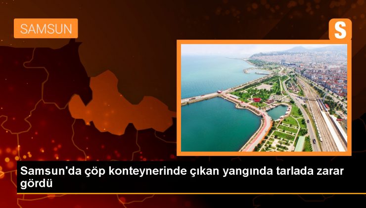 Samsun’un Bafra ilçesinde çıkan yangında tarla zarar gördü