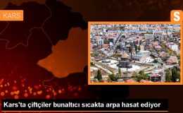 Sarıkamış’ta Çiftçiler Arpa Hasadına Başladı