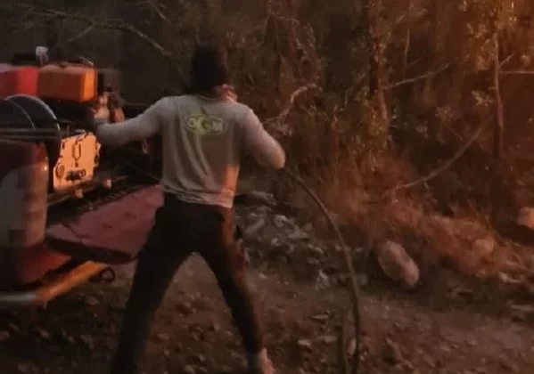 Siirt ve Bingöl’de Orman Yangını