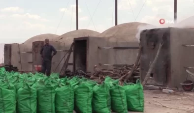 Şırnak’ta Aile, Meşe Kömürü Üreterek Geçimini Sağlıyor