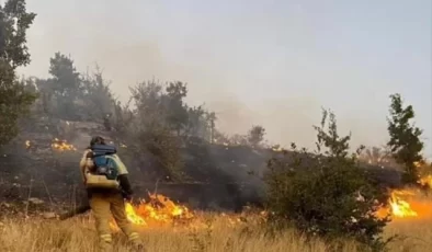 Şırnak’ta çıkan orman yangını kontrol altına alındı