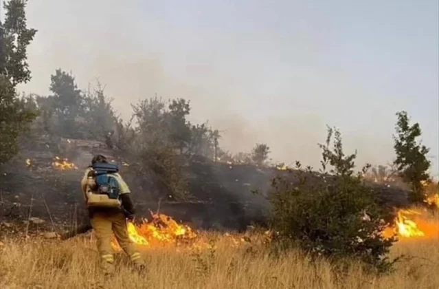 Şırnak’ta çıkan orman yangını kontrol altına alındı