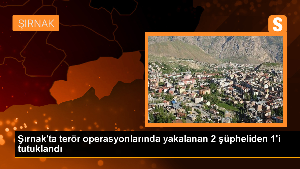 Şırnak'ta düzenlenen terör operasyonunda 1 şüpheli tutuklandı
