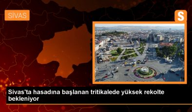 Sivas’ın Ulaş ilçesinde tritikale hasadı başladı
