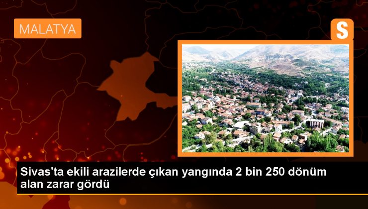 Sivas’ta çıkan yangında 2 bin 250 dönüm ekili arazi zarar gördü