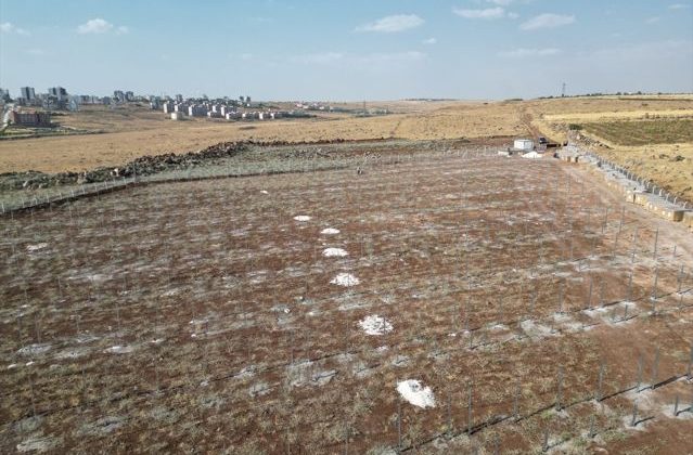 Siverek Belediyesi Güneş Enerji Santrali Yapımına Başladı 1 Siverek Belediyesi Güneş Enerji Santrali Yapımına Başladı