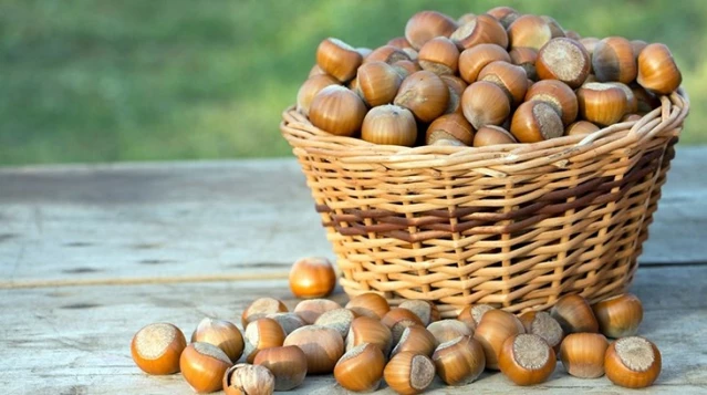 Son Dakika: Cumhurbaşkanı Erdoğan: Fındık alım fiyatı Giresun kalite için 84 lira, Levant için 82,50 lira olarak belirlendi