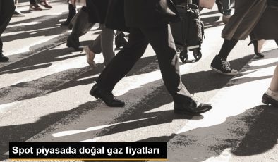 Spot Doğal Gaz Piyasasında Referans Fiyat 10 Bin 2 Lira 83 Kuruş