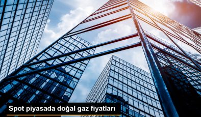 Spot piyasada doğal gaz fiyatları