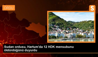 Sudan Ordusu, HDK mensubu 12 kişiyi etkisiz hale getirdi