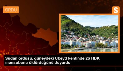 Sudan Ordusu, HDK mensuplarını etkisiz hale getirdi