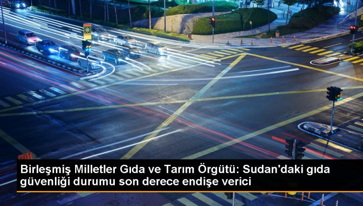 Sudan’da Gıda Güvenliği Durumu Endişe Verici