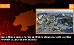 Süt çiftliği güneş enerjisi santraline dönüştü, fazla üretilen elektrik için yer aranıyor