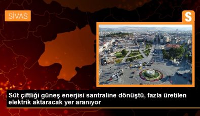 Süt çiftliği güneş enerjisi santraline dönüştü, fazla üretilen elektrik için yer aranıyor