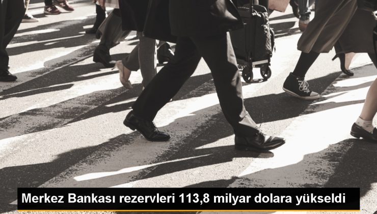 TCMB Rezervleri 113 milyar 774 milyon dolara yükseldi