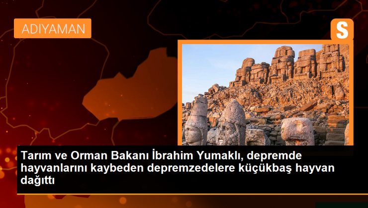 Tarım ve Orman Bakanı İbrahim Yumaklı, depremde hayvanlarını kaybeden depremzedelere küçükbaş hayvan dağıttı