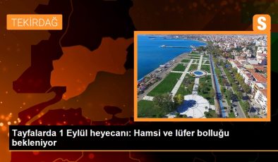 Tayfalarda 1 Eylül heyecanı: Hamsi ve lüfer bolluğu bekleniyor