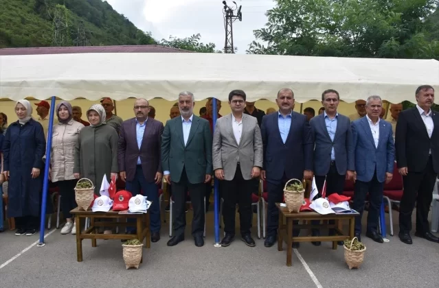Trabzon'da coğrafi işaretli 'Arsin Foşa fındığı'nın hasadı başladı 1 Trabzon’da coğrafi işaretli ‘Arsin Foşa fındığı’nın hasadı başladı