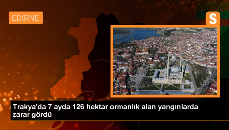 Trakya’da Orman Yangınlarındaki Zarar Geçen Yıla Göre İki Kat Arttı