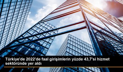 Türkiye’de Girişimlerin Çoğunluğu Hizmet ve Ticaret Sektöründe