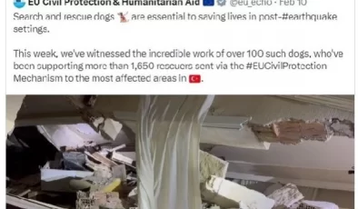 Uluslararası Köpek Günü Kutlamaları Yapıldı