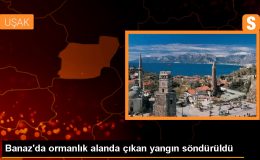 Uşak’ın Banaz ilçesinde ormanlık alanda yangın çıktı