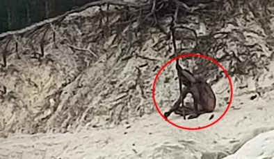 Uzun yıllardır efsane olarak anlatılıyordu! ‘Kurt adam’ sonunda görüntülendi