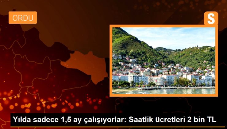 Yılda sadece 1,5 ay çalışıyorlar: Saatlik ücretleri 2 bin TL 1 Yılda sadece 1,5 ay çalışıyorlar: Saatlik ücretleri 2 bin TL