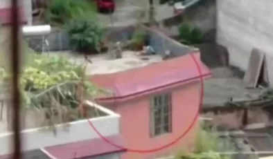 Yıllardır kayıp olarak aradıkları kızlarının karşı komşuda yaşadığı ortaya çıktı