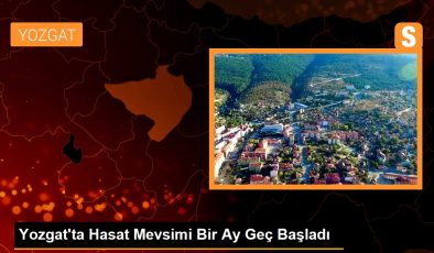 Yozgat’ta Hasat Mevsimi Bir Ay Geç Başladı