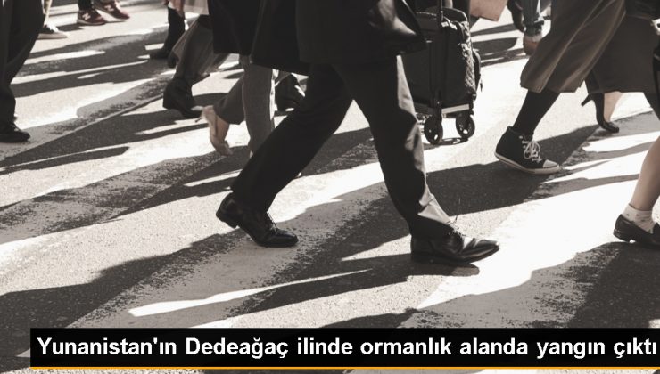 Yunanistan’ın Dedeağaç ilinde ormanlık alanda yangın çıktı