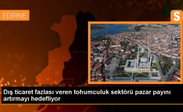 Türk Tohumculuk Sektörü İhracatta Dış Ticaret Fazlası Verdi