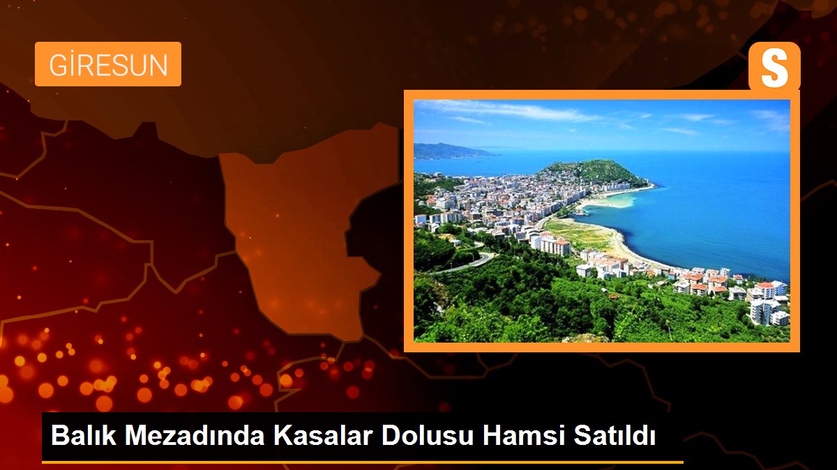 Balık Mezadında Kasalar Dolusu Hamsi Satıldı