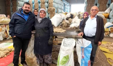 Balıkesir Koyununun Yünü Ülkeye Döviz Olacak