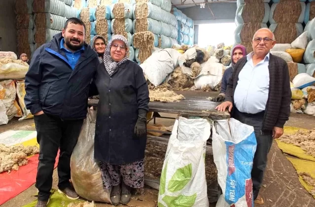 Balıkesir Koyununun Yünü Ülkeye Döviz Olacak 1 Balıkesir Koyununun Yünü Ülkeye Döviz Olacak