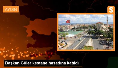 Başkan Güler kestane hasadına katıldı