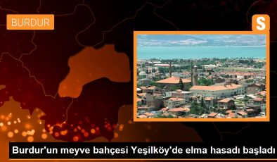 Burdur’un meyve bahçesi Yeşilköy’de elma hasadı başladı