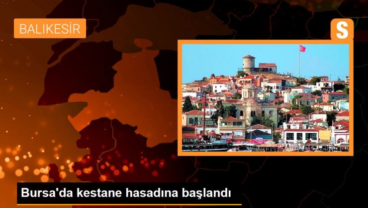 Bursa'da kestane hasadına başlandı - Son Dakika 1 Bursa’da kestane hasadına başlandı – Son Dakika