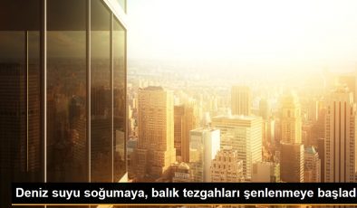 Deniz suyu soğumaya, balık tezgahları şenlenmeye başladı